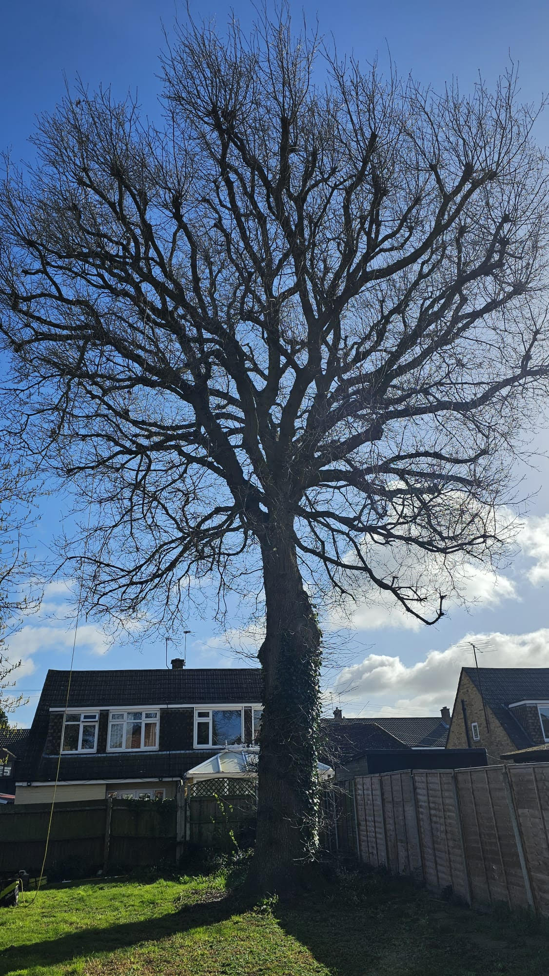 https://www.crowntree.co.uk/wp-content/uploads/2023/04/2b.jpeg