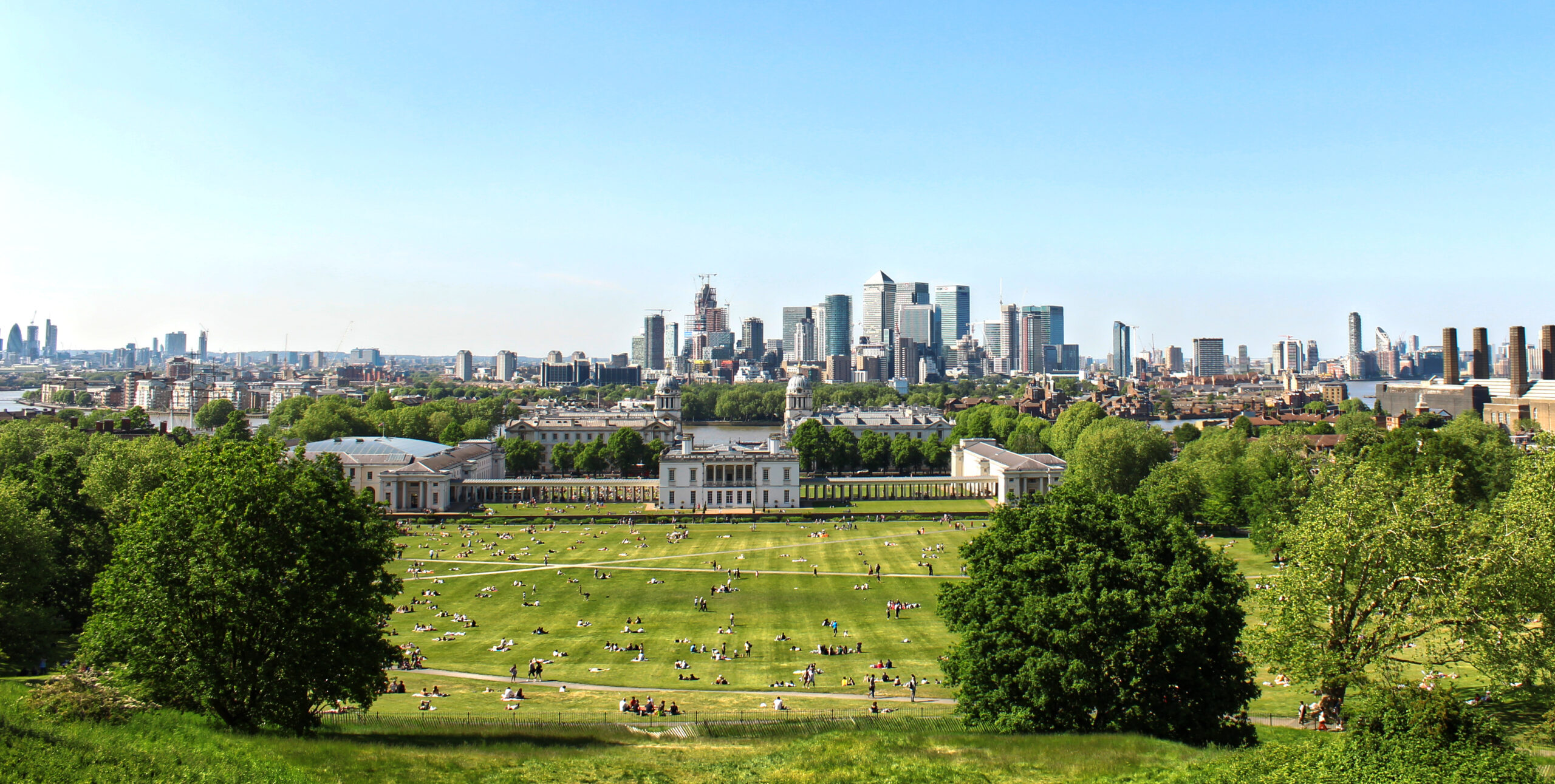 Tree Surgeons in Greenwich