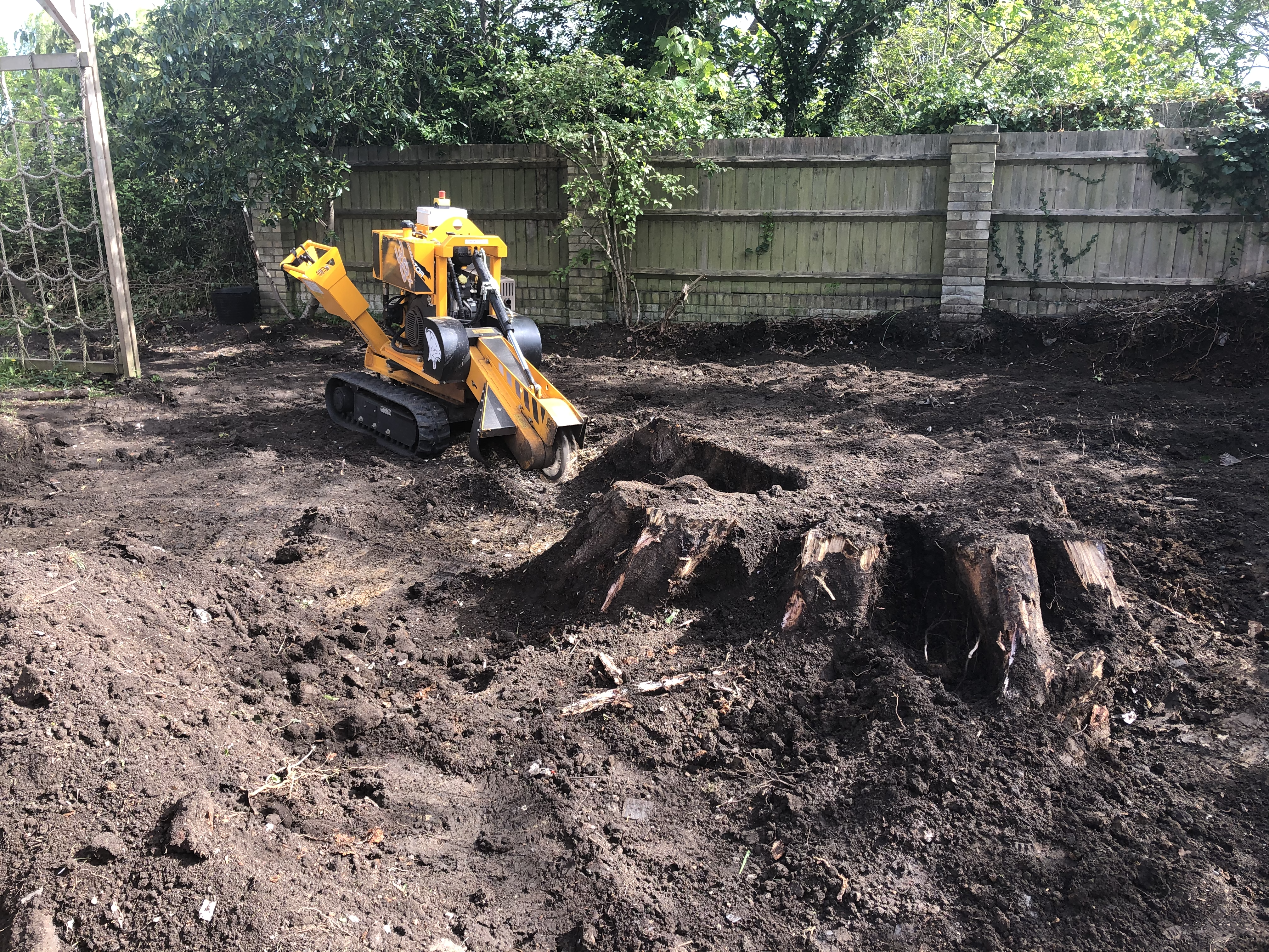 Tree Stump Removal in Greenwich