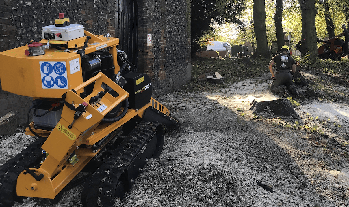 Tree Stump Removal in Lewisham