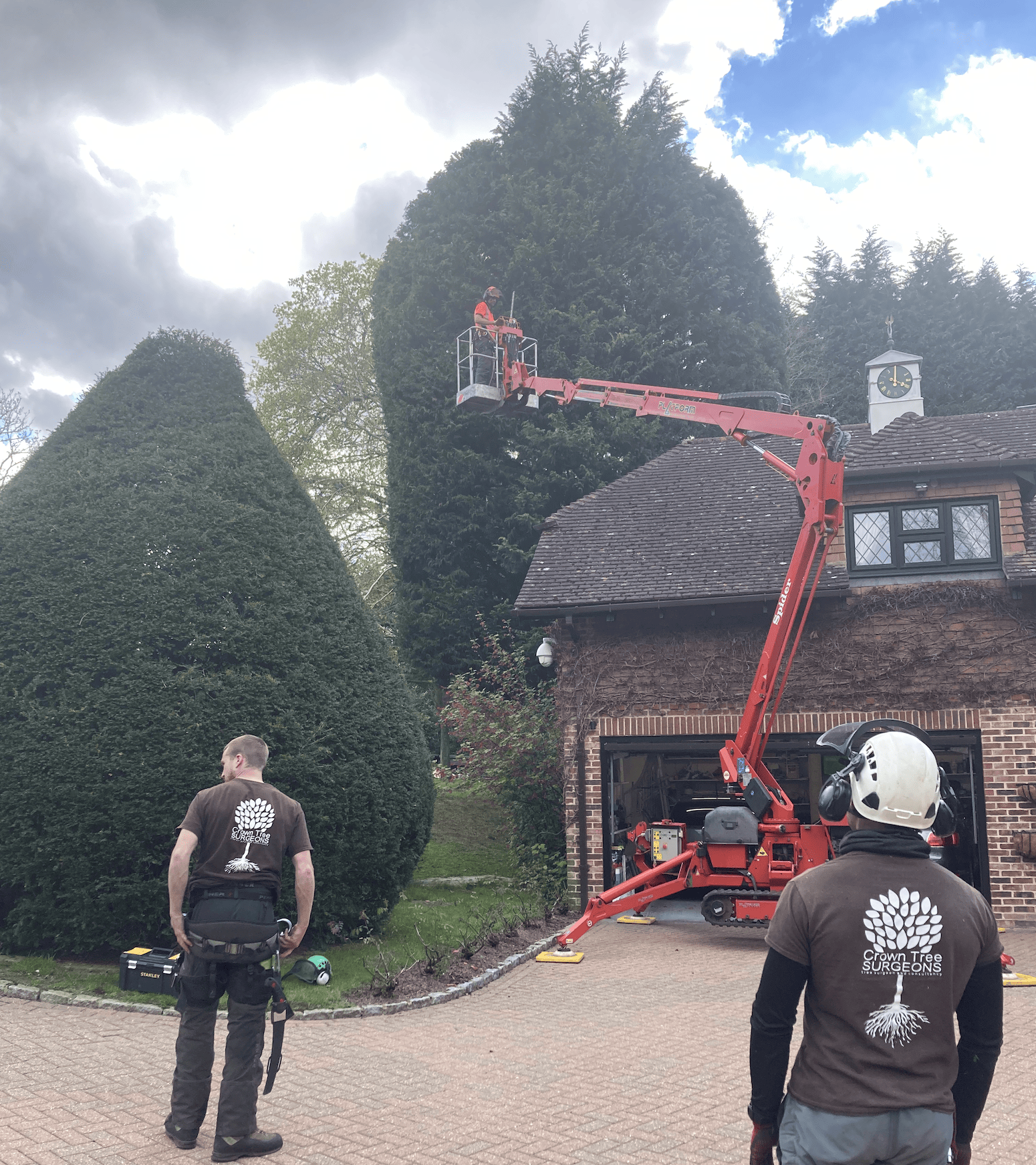 tree Pruning in Blackheath