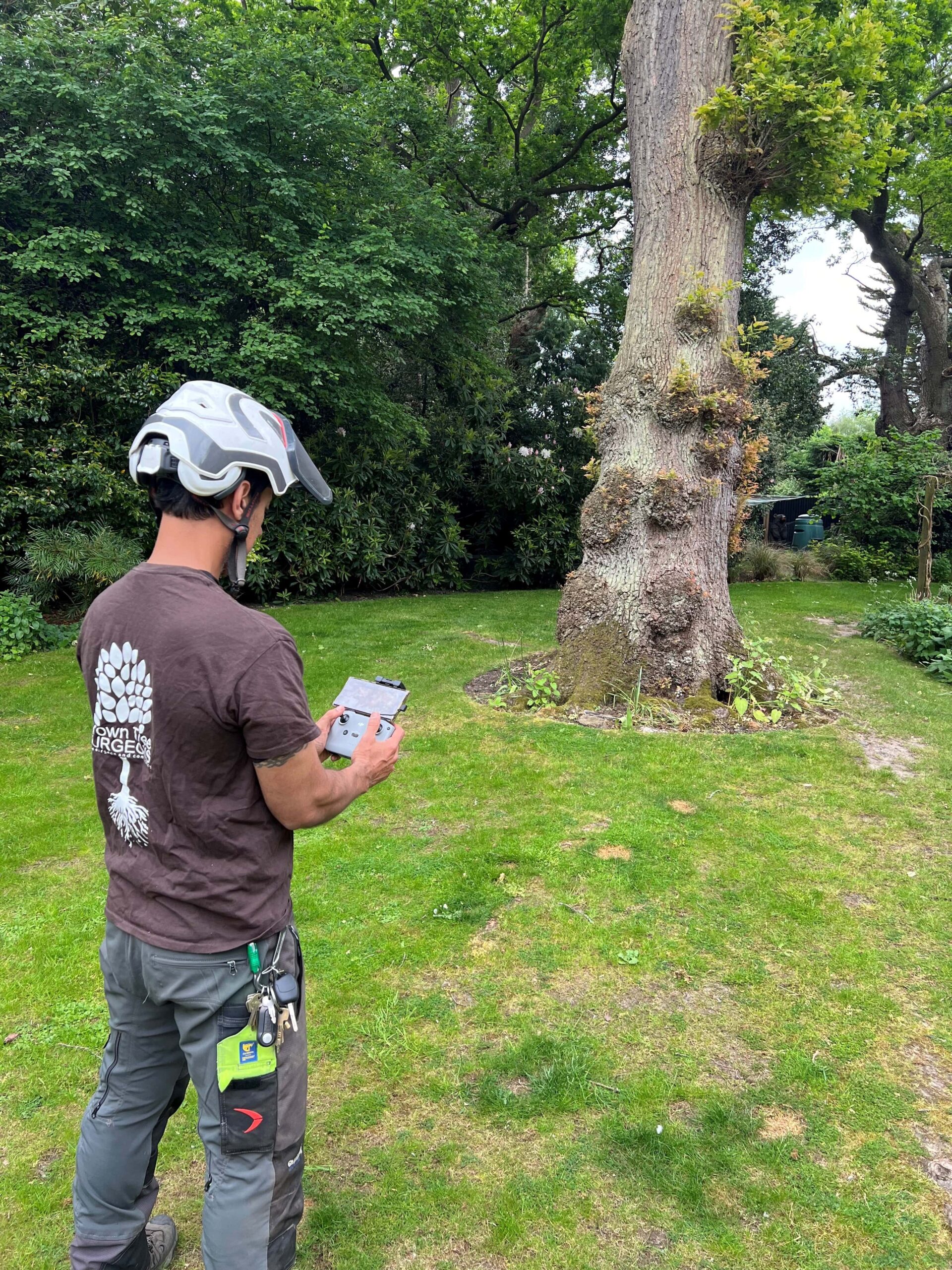 Tree Survey 1