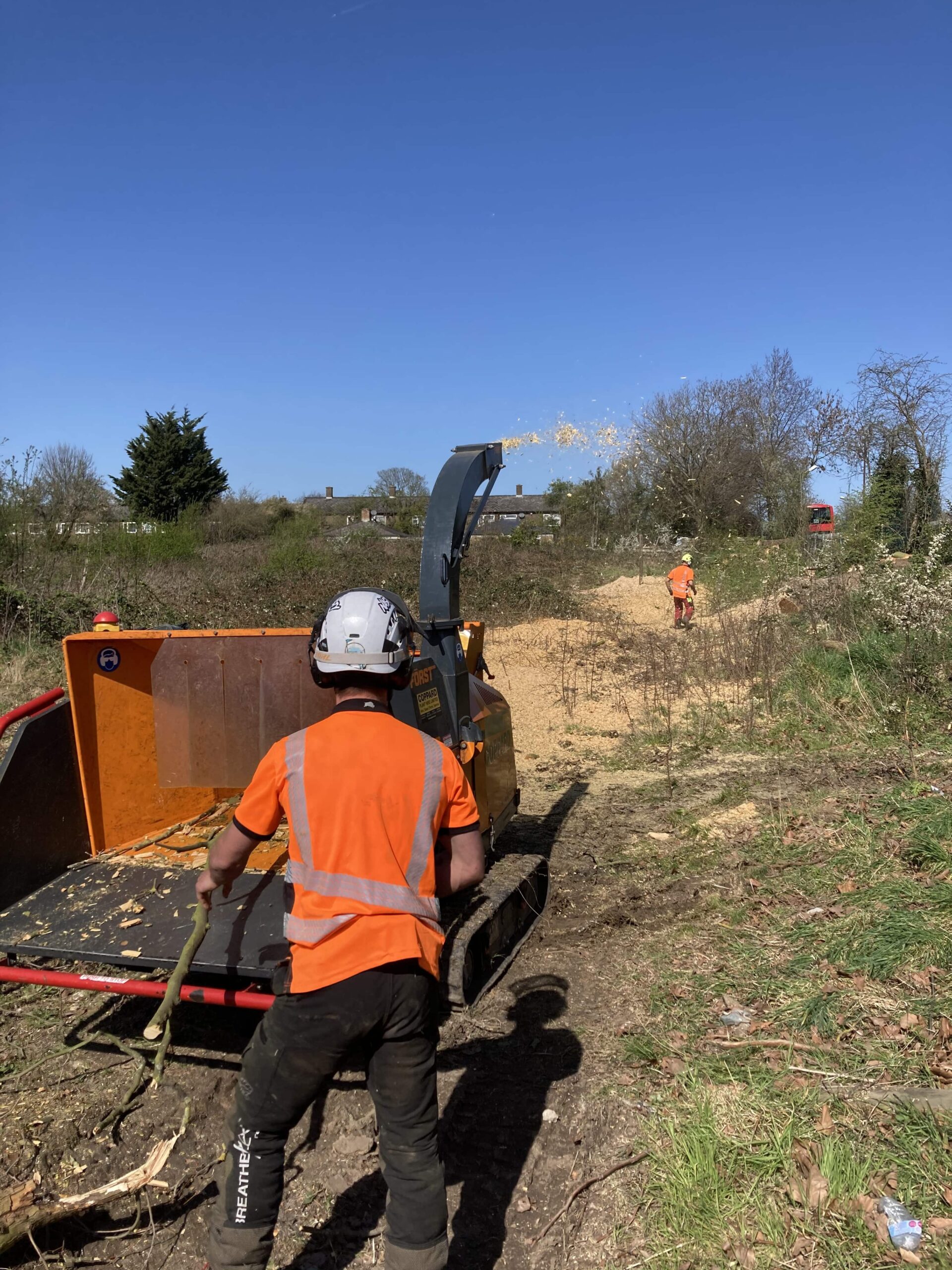 Vegetation Clearance in Greenwich