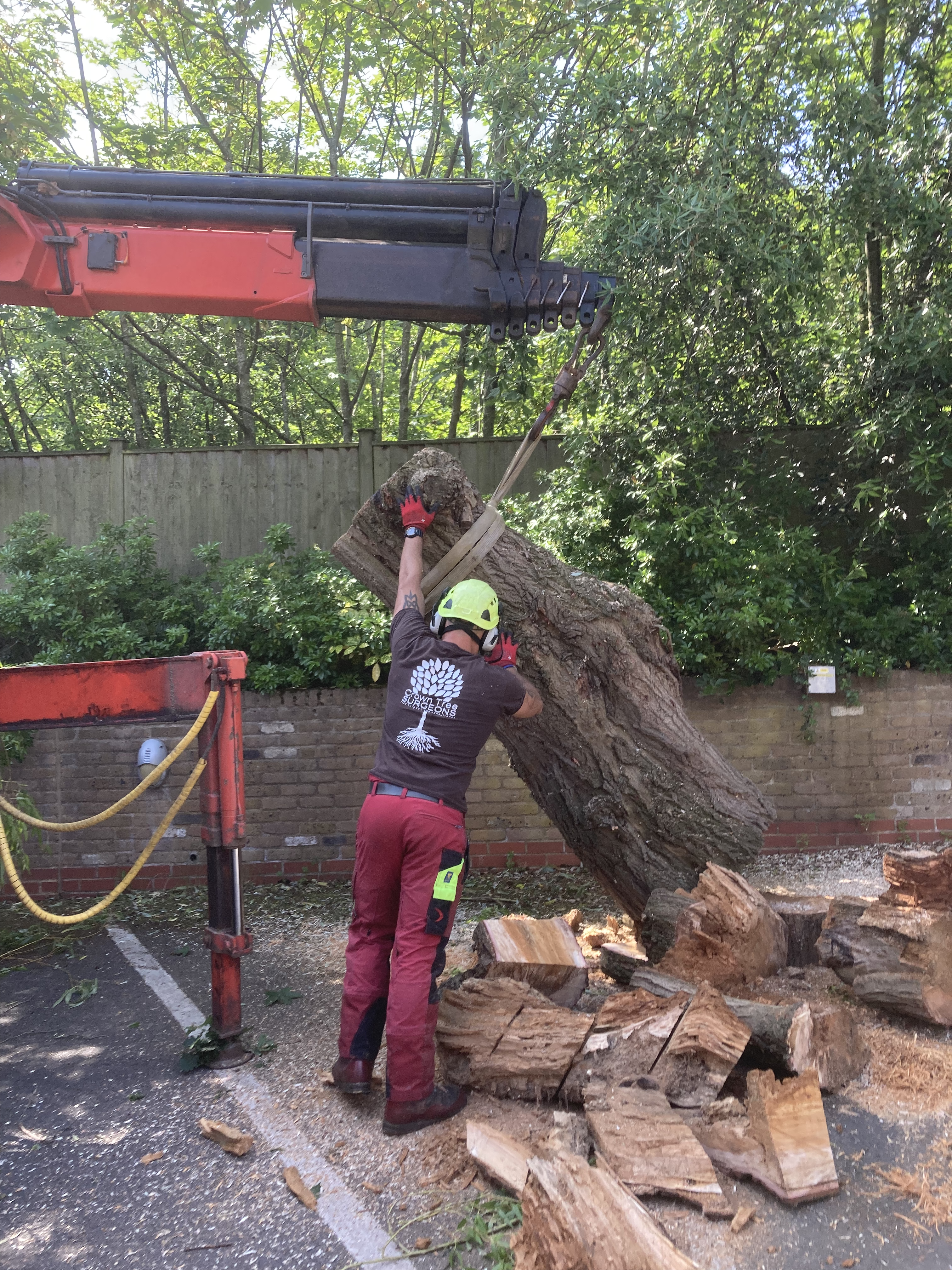 Efficient tree removal