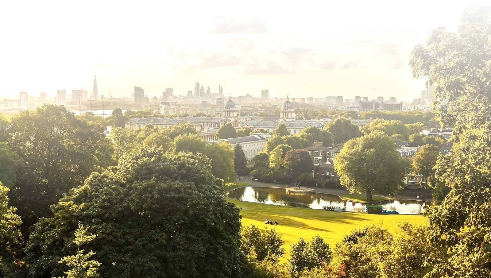 Tree Surgeons In London