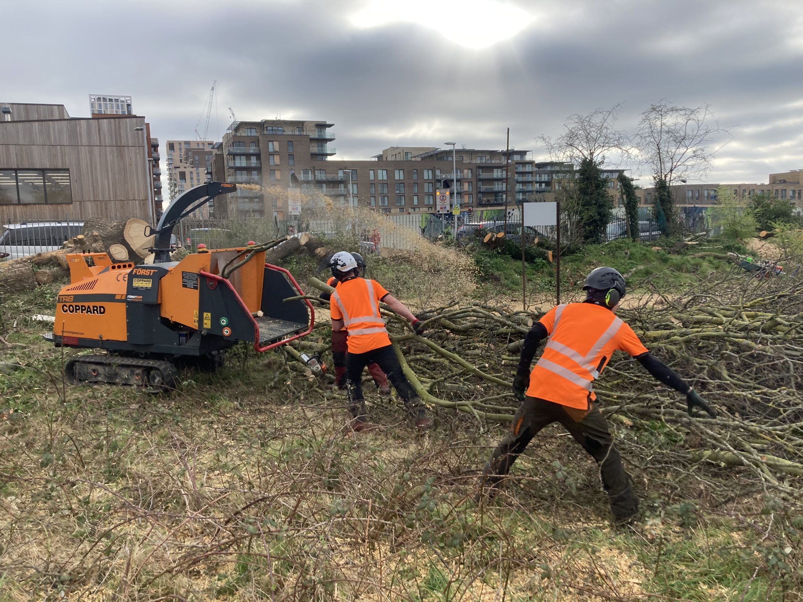 Vegetation Clearance in Blackheath