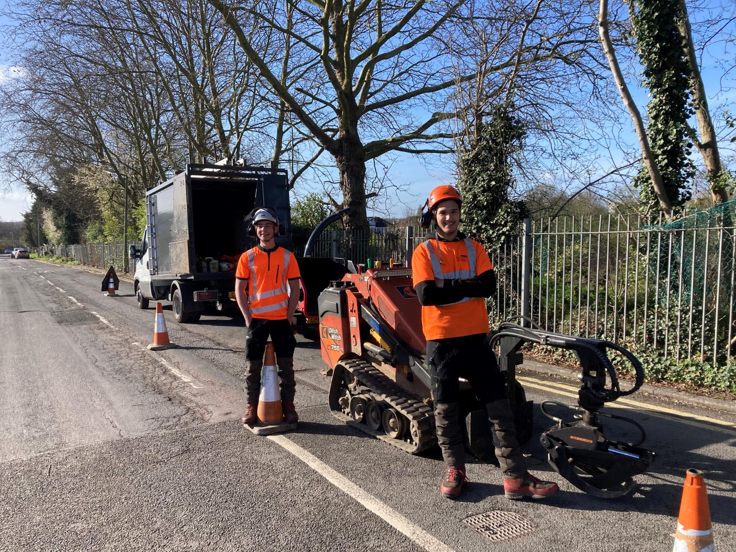 Tree Site Clearance