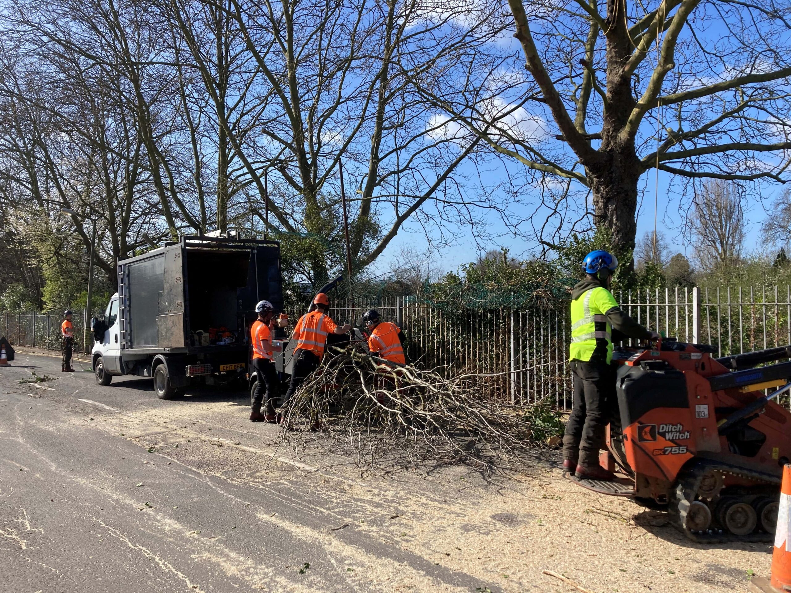 Vegetation Clearance in Bromley