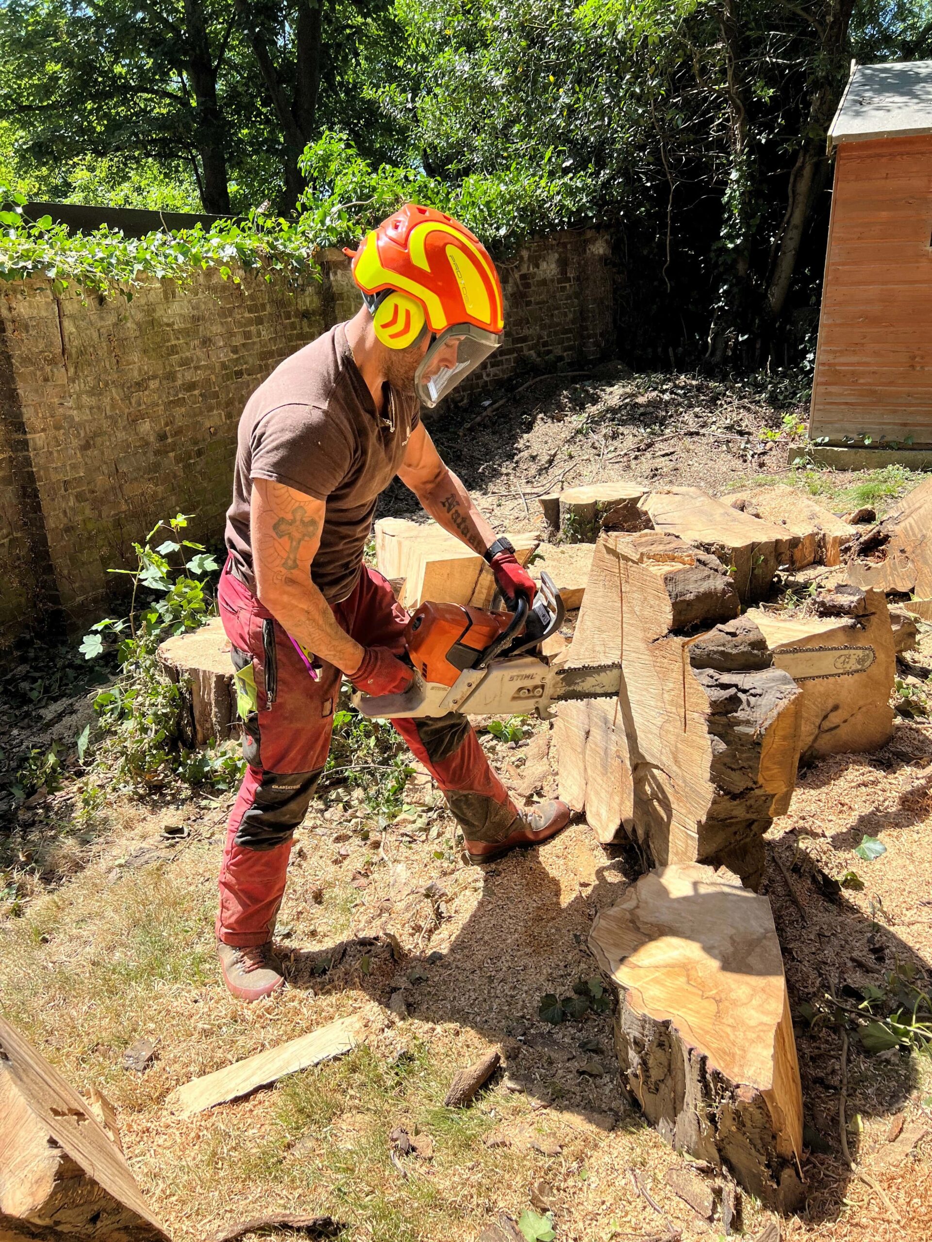 Tree Removal in Lewisham