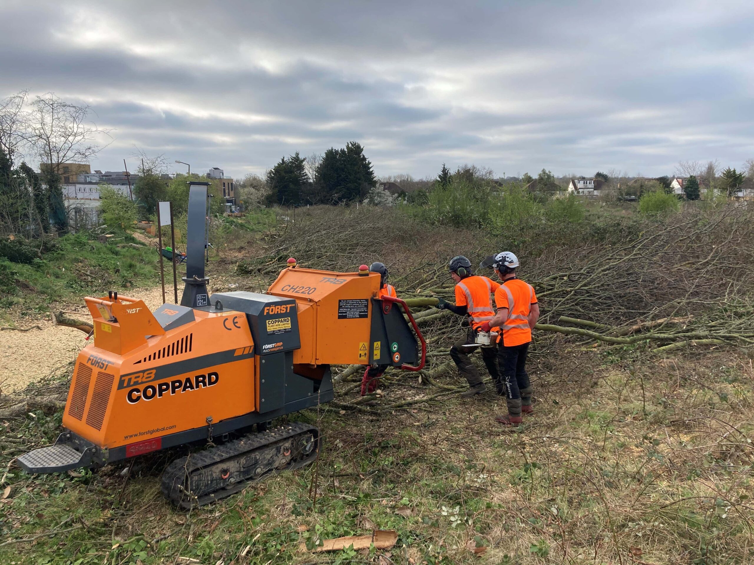 Vegetation Clearance in Blackheath