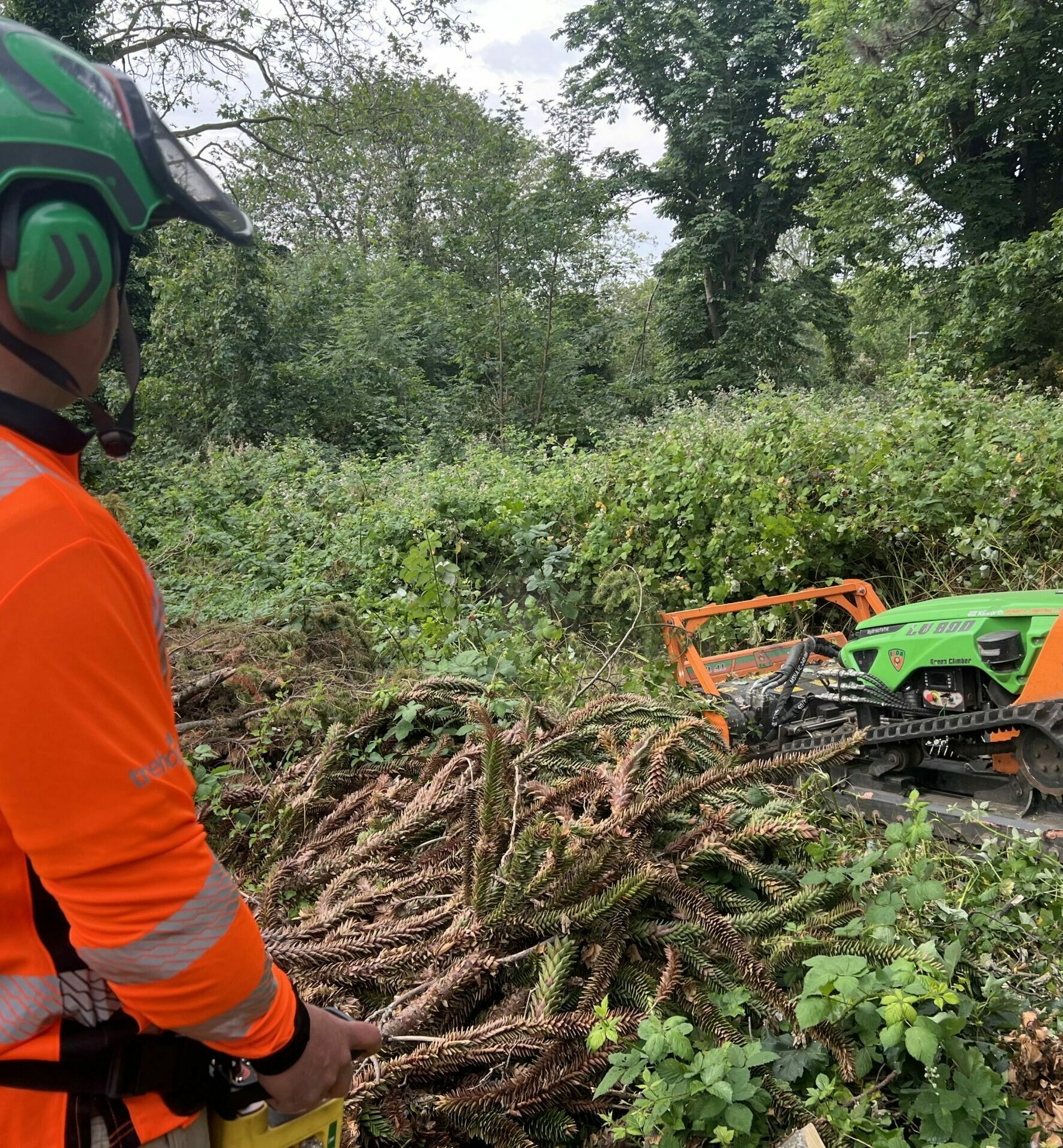 Vegetation_Clearance