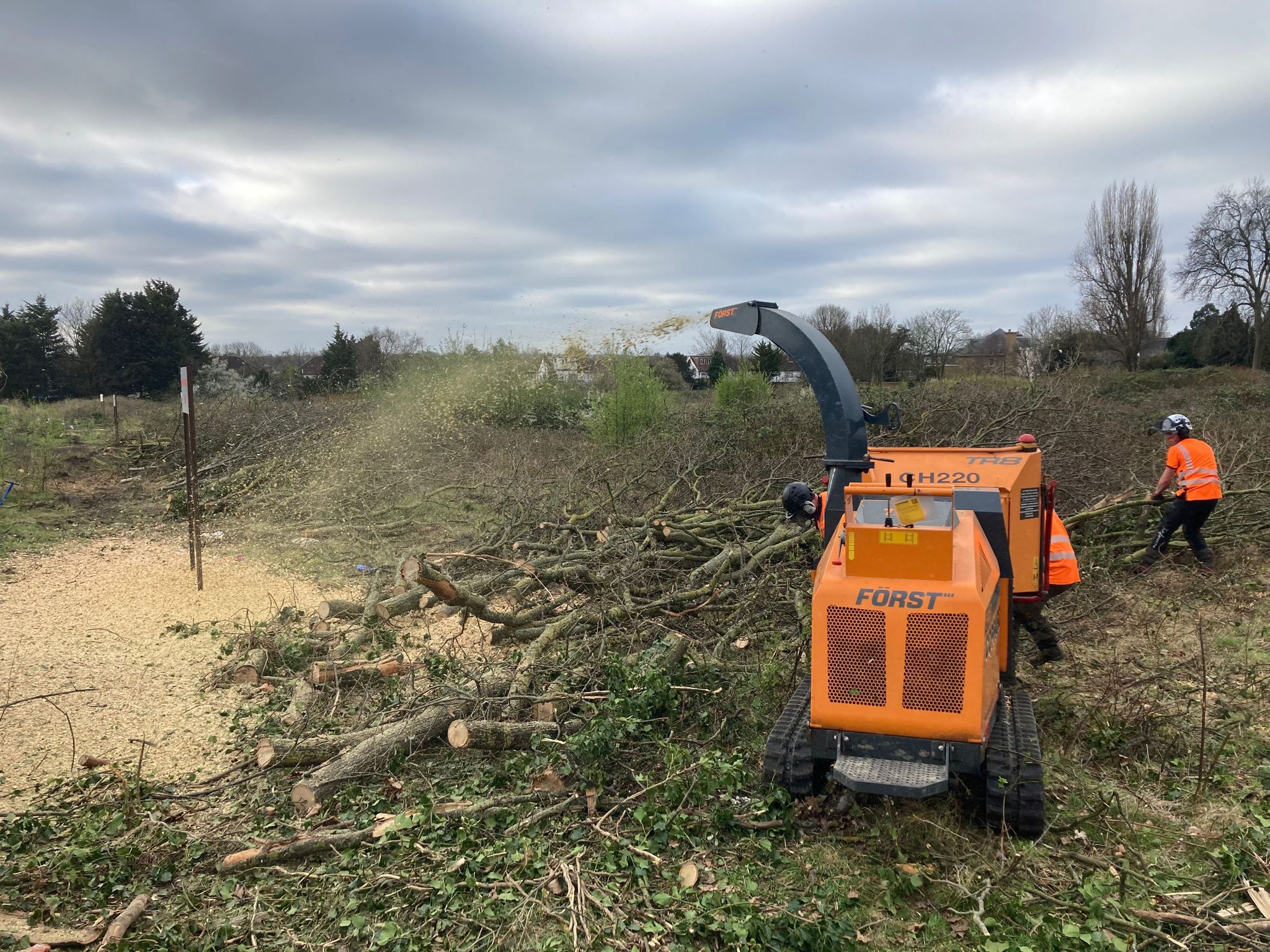 Tree Stump Remover