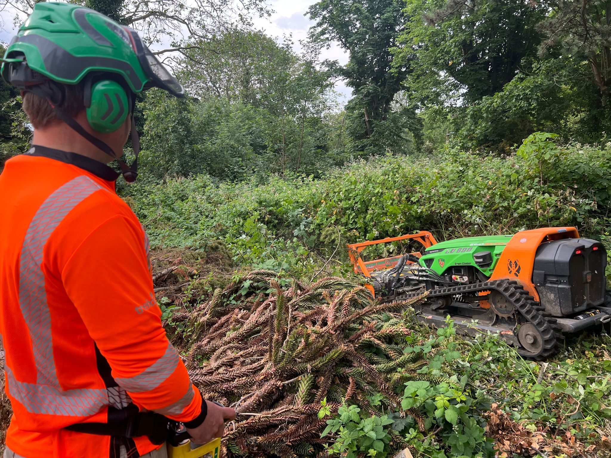 Tree cutting service